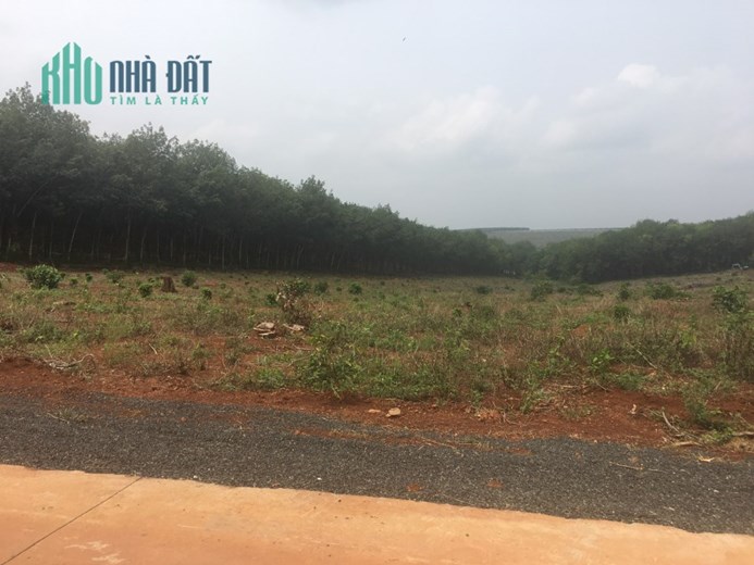 Đất siêu rẻ Sổ Sẵn, thổ cư