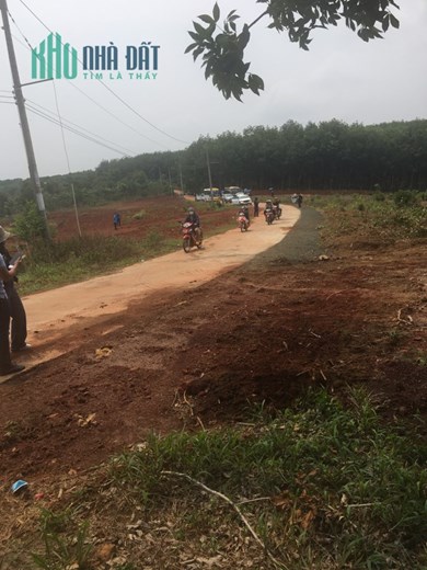 Đất siêu rẻ Sổ Sẵn, thổ cư