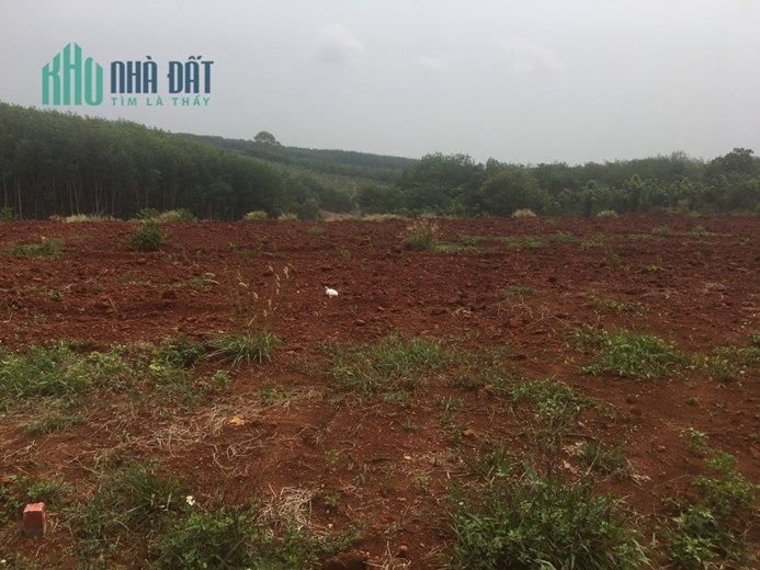 Đất siêu rẻ Sổ Sẵn, thổ cư