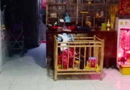 Nhà bán 3 Tầng  hẻm 60 Cao Xuân Dục P13Q8 - Giá : 3.5 Tỷ (TL)
