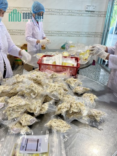 Chúng Tôi Chuyên Cung Cấp CỦ HỦ DỪA SẤY KHÔ - ĐẶC SẢN BẾN TRE
