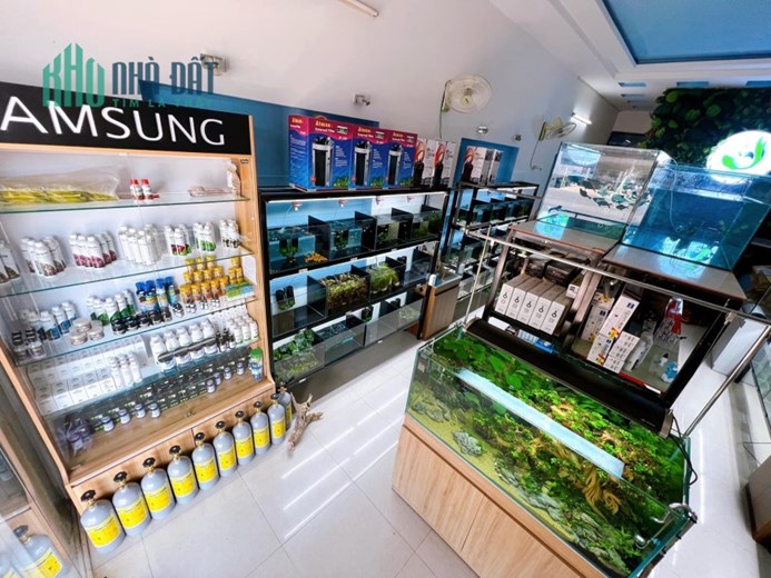 CẦN SANG NHƯỢNG LẠI TIỆM CÁ CẢNH THỦY SINH
