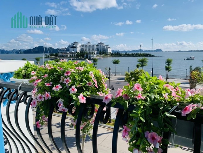 Chuyện nhượng lại gấp căn song lập sát mặt biển bãi cháy Hạ Long, trục đường bao biển