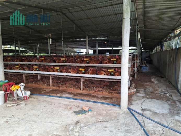 CHÍNH CHỦ BÁN NHANH Lô Đất Đẹp Vị Trí Đắc Địa Tại Xã Long Bình Điền, Chợ Gạo, Tiền Giang