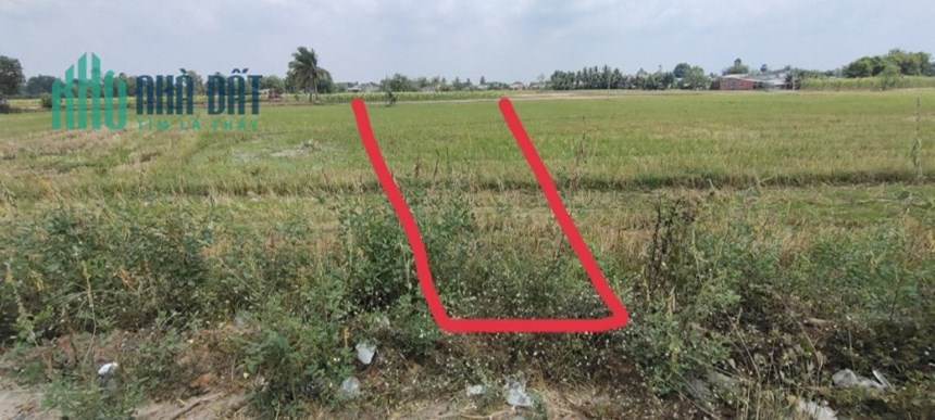 Bán gấp đất MT DT786 Tiên Thuận, Bến Cầu, Tây Ninh 20x68m phủ hồng kinh doanh mua bán