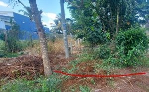 Chính Chủ Cần Bán Đất Mặt Tiền Chu Văn An