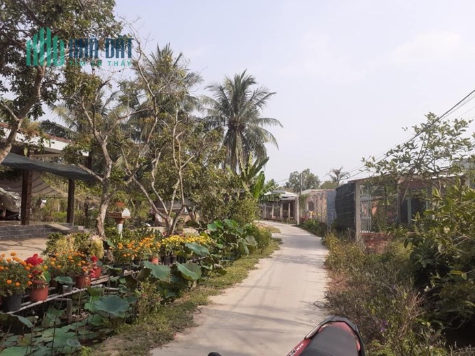 Bán 1000m2 vườn ấp 3,Tam Hiệp,Châu Thành,Tiền Giang