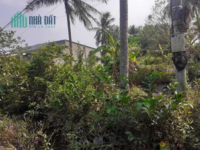 Bán 1000m2 vườn ấp 3,Tam Hiệp,Châu Thành,Tiền Giang