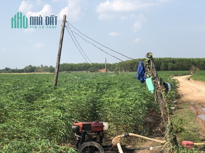 Hơn 3,5 công đất vườn giá chỉ 995tr