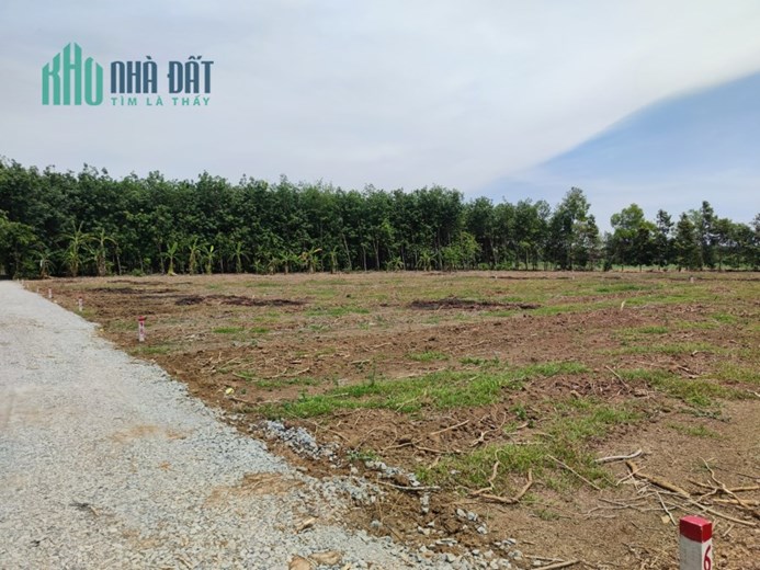 Tận hưởng cuộc sống yên bình khi sở hữu mảnh vườn siêu đẹp ở Châu Thành – Tây Ninh