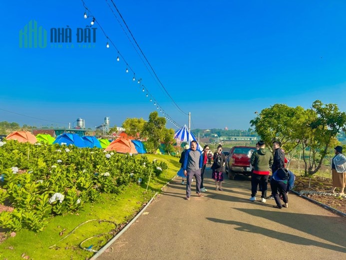 750 triệu sở hữu căn Homestay Bảo Lộc có thể kinh doanh ngay