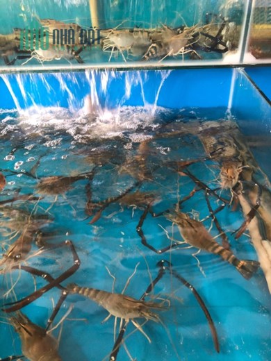 CẦN SANG NHƯỢNG LẠI VỰA HẢI SẢN