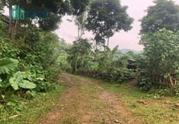 CẦN BÁN GẤP MẢNH ĐẤT ĐẸP BÁM SUỐI 50 VIEW CÁNH ĐỒNG CỰC ĐẸP LẠC SƠN HOÀ BÌNH
