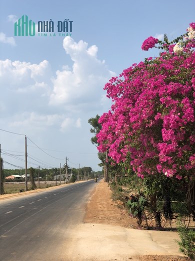 Chỉ hơn 300 triệu đồng bạn đã sở hữu miếng đất1000m2, cách đường nhựa chỉ 400m