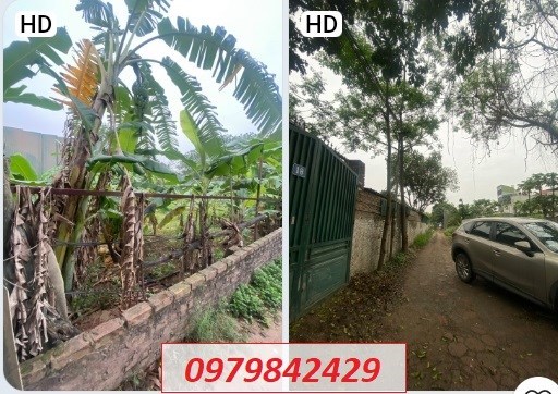 ⭐Chính chủ bán 2 mảnh đất ở Thúy Lĩnh, Hoàng Mai, 850tr; 0979842429