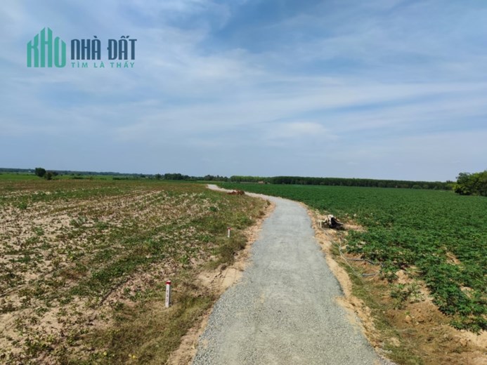 Bán nhanh miếng đất vườn Châu Thành giá rẻ bèo chỉ 280 nghìn/m2