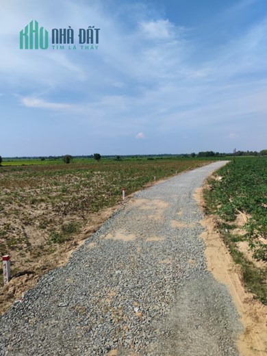 Bán nhanh miếng đất vườn Châu Thành giá rẻ bèo chỉ 280 nghìn/m2