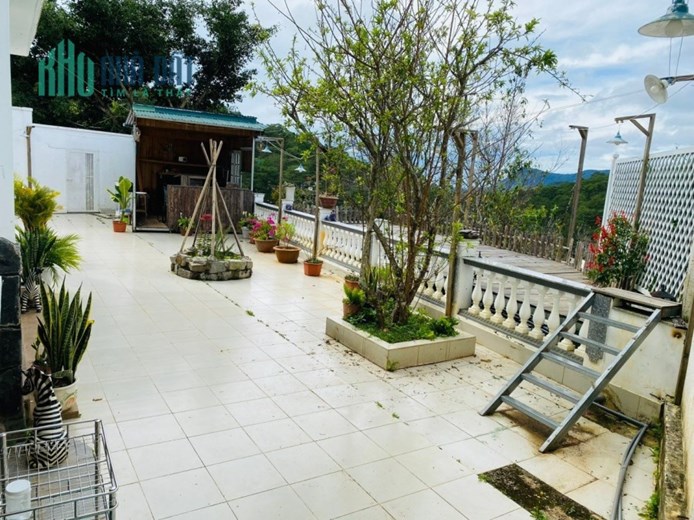 Bán Biệt Thự View Rừng Thông - Giá Giảm 1 Tỷ 5 - Hoàng Hoa Thám P10 Đà Lạt