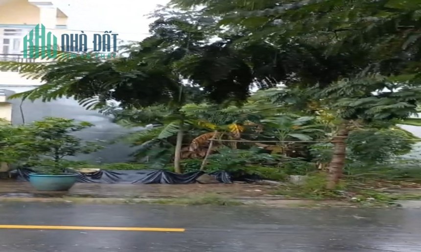HH 2%  Bán Lổ lô đất Long Hậu Nam Sài Gòn. DT 5x18m Giá 2 tỷ 390 tr
