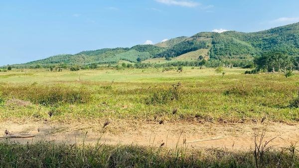 bán đất Ninh Xuân Ninh Hòa hơn 2000m2 mà chưa đến năm trăm triệu