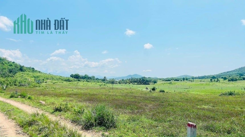 bán đất Ninh Xuân Ninh Hòa hơn 2000m2 mà chưa đến năm trăm triệu