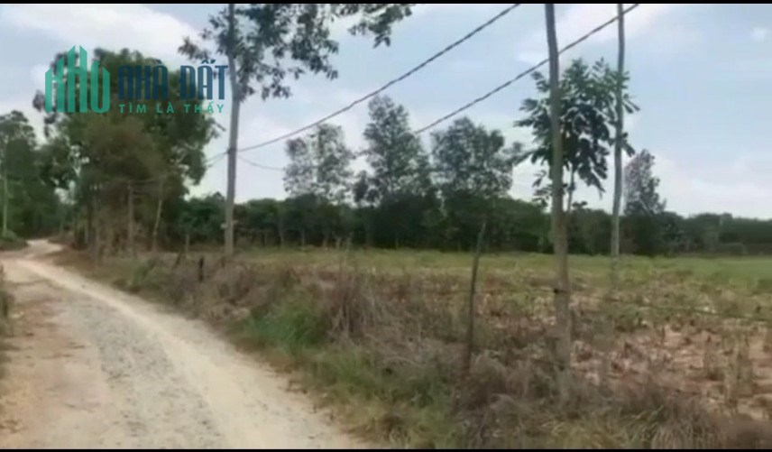 Bán 11610,8m2 đất xã Xuân Hòa, Xuân Lộc, Đồng Nai, giá đầu tư