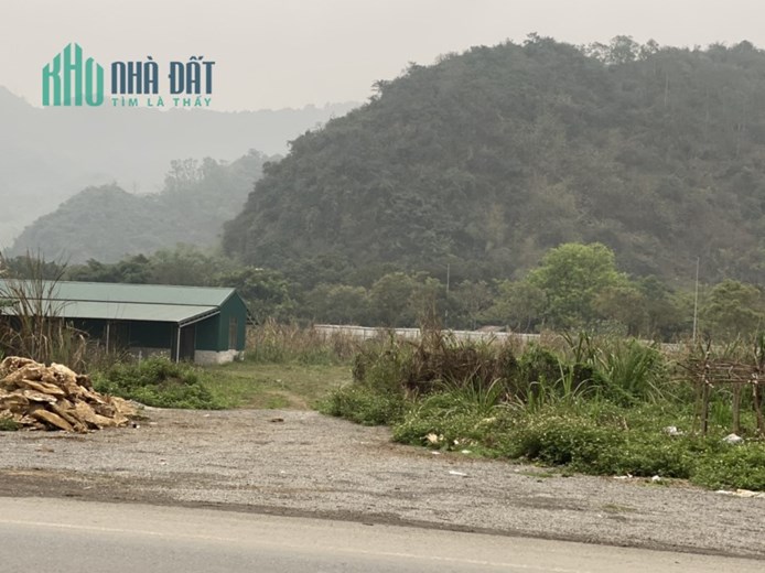 Bán đất Mặt đường QL 21A, Thj Trấn Ba Sao Kim Bảng Cạnh dự án Flamingo Giá 65tr/m2