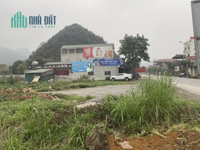 Bán đất Mặt đường QL 21A, Thj Trấn Ba Sao Kim Bảng Cạnh dự án Flamingo Giá 65tr/m2