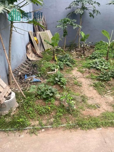 Bán đất Phúc Thành, Biên Giang, Hà Đông, 50m2, mt4m, ô tô gần QL6, nhỉnh 2 tỷ
