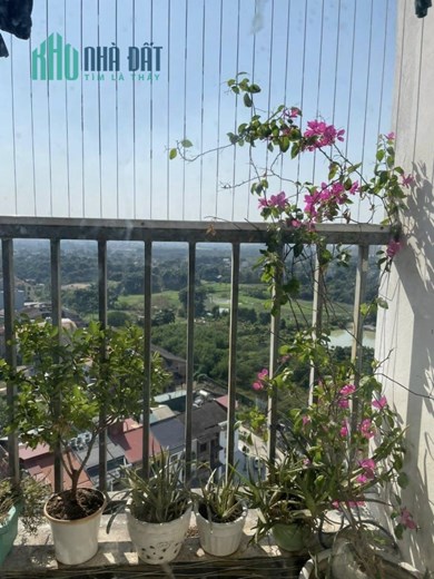 Chung cư An Bình Tower 521 Cổ Nhuế, 49m2, 1.25 tỷ