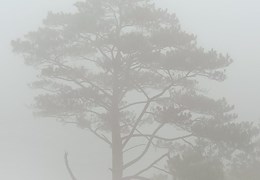 BÁN ĐÁT GIÁ RẺ NHẤT THỊ TRƯỜNG (  dak rung - dak song - dak nông )