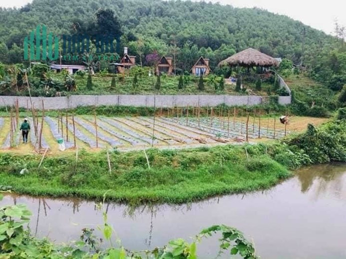 Do chuyển đổi về 1 khu để tiện quản lý công ty em chuyển nhượng lại homestay sẵn khuôn viên