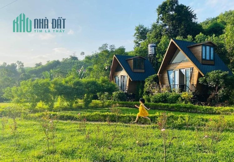 Do chuyển đổi về 1 khu để tiện quản lý công ty em chuyển nhượng lại homestay sẵn khuôn viên