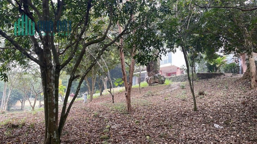 Chính chủ em cần bán hơn 10000m 800m đất ở sãn khuôn viên biệt thự, ao cá, bể bơi, sân tennis, bám