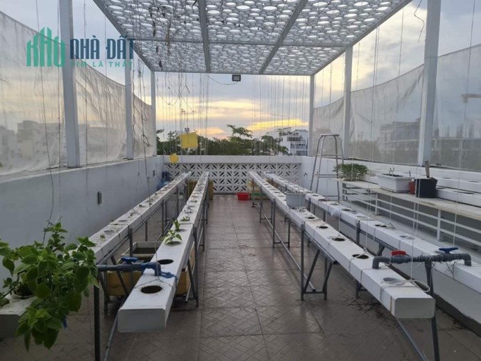 Bán CHDV HXH có sẵn thu nhập gần 100 triệu Hoàng Văn Thụ sát Phú Nhuận nhỉnh 17 tỷ TL tốt