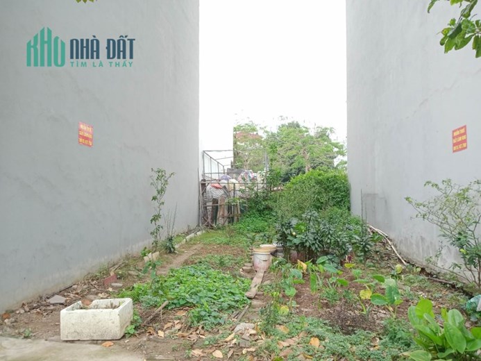 Bán đất đấu giá Dương Nội, Hà Đông, 50m2, mt4m, ô tô kinh doanh giá 6 tỷ
