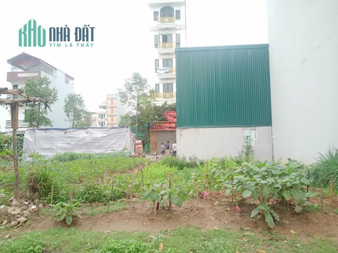 Bán gấp đất Đấu giá Phú Lương cạnh công viên, 60m2, mt5m, giá đầu tư nhỉnh 4 tỷ