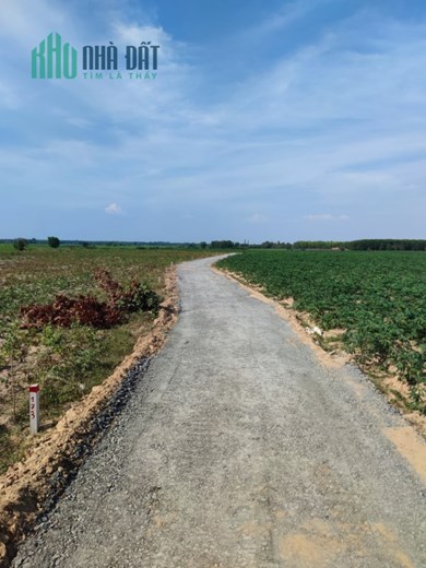 Đất vườn Tây Ninh: Đầu tư tiềm năng, tài sản quý giá cho tương lai.