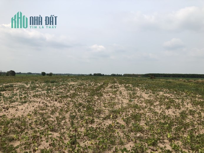 Siêu phẩm cho nhà đâu tư- Đất công Châu Thành giá rẻ.