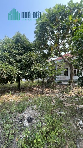 Bán nhà biệt thự vườn thị trấn Diên Khánh 1200m2
