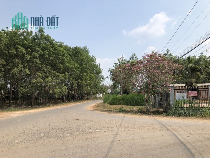 NHỎ EM NHỜ CHỊ BÁN MIẾNG ĐẤT TRƯỚC KHI CƯỚI CHỒNG XA