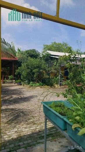 1000 m2 biêt thư vưởn nhả bẻ chi 7 ty