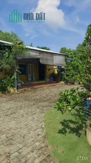 1000 m2 biêt thư vưởn nhả bẻ chi 7 ty