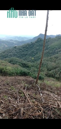 Cần bán khu rừng sản xuất diện tích 51ha Xã Tân Sơn, Chợ Mới, giá đầu tư