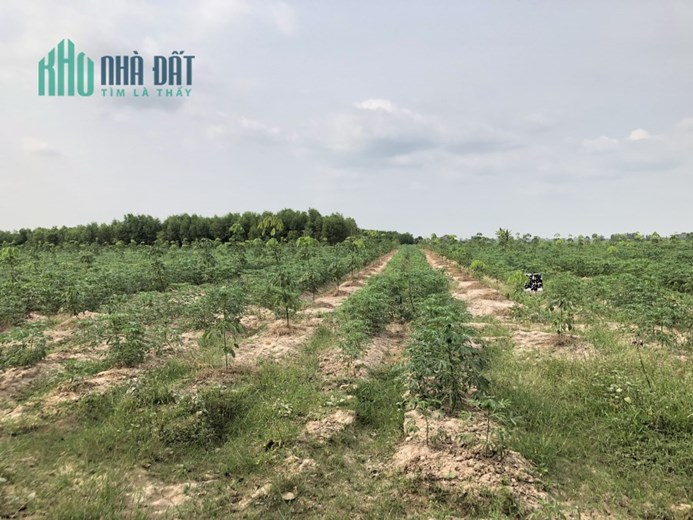 Tài chính dưới 500tr cần mua đất sào, đây là cơ hội cho bạn!