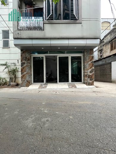 Bán nhà Đào Tấn, Lô góc, Ngõ thông, Ô tô ngủ trong nhà, Kinh doanh, 55m2, Mặt tiền 14m, Giá 17,2 tỉ.