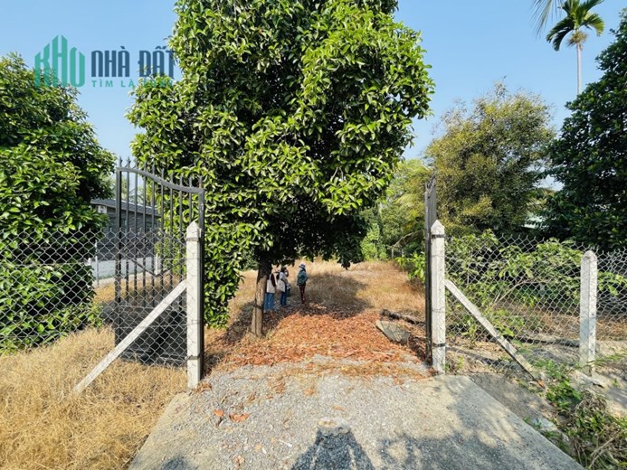 Bán đất mặt tiền Hồ Văn Mên vị trí siêu đẹp giá cực hấp dẫn chỉ 20 triệu/m2