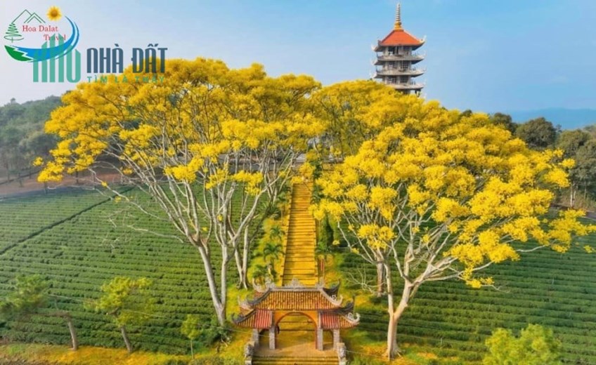Nhà Bảo Lộc nghĩ dưỡng và kinh doanh ngay 1.6 tỷ