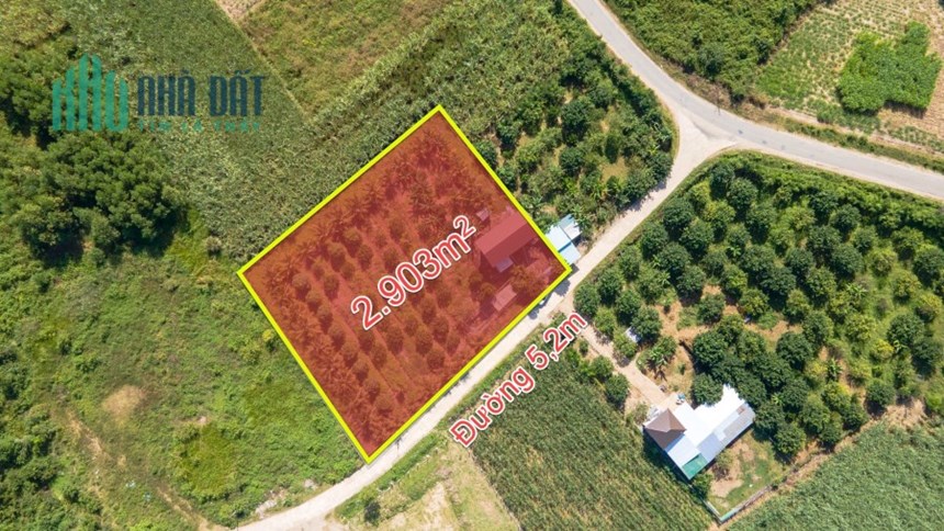 CHÍNH CHỦ BÁN 3 LÔ ĐẤT SỔ HỒNG RIÊNG GIÁ RẺ MT TRUNG TÂM DIÊN ĐỒNG