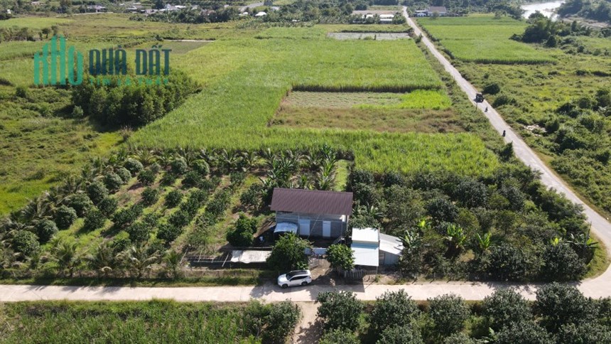 CHÍNH CHỦ BÁN 3 LÔ ĐẤT SỔ HỒNG RIÊNG GIÁ RẺ MT TRUNG TÂM DIÊN ĐỒNG